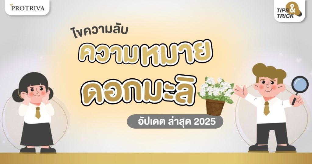 ไขความลับ ความหมาย ดอกมะลิ อัปเดต ล่าสุด 2025