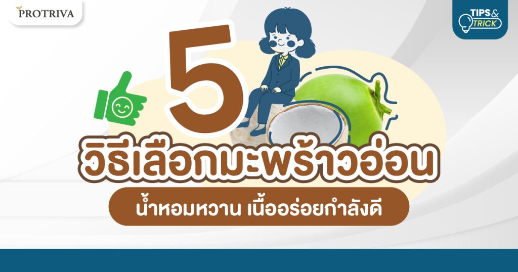 5 วิธีเลือกมะพร้าวอ่อน น้ำหอมหวาน เนื้ออร่อยกำลังดี