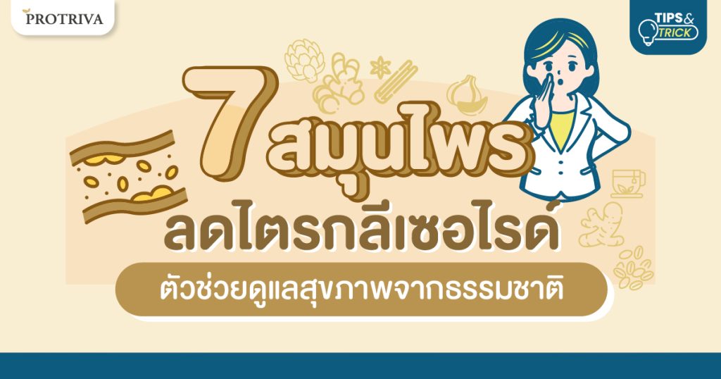 7 สมุนไพรลดไตรกลีเซอไรด์ ตัวช่วยดูแลสุขภาพจากธรรมชาติ