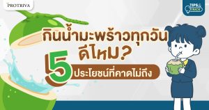 กินน้ำมะพร้าวทุกวัน ดีไหม 5 ประโยชน์ที่คาดไม่ถึง