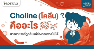 Choline (โคลีน) คืออะไร สารอาหารที่ถูกลืมแต่ร่างกายขาดไม่ได้
