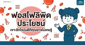 ฟอสโฟลิพิด ประโยชน์ คืออะไร เจาะลึกไขมันดีที่คุณอาจไม่เคยรู้
