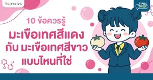 10 ข้อควรรู้ มะเขือเทศสีแดง กับ มะเขือเทศสีขาว แบบไหนที่ใช่