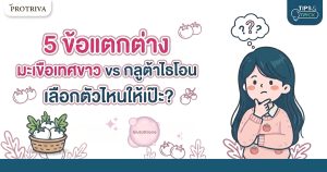 5 ข้อแตกต่าง มะเขือเทศขาว vs กลูต้าไธโอน เลือกตัวไหนให้เป๊ะ?