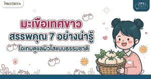 มะเขือเทศขาว สรรพคุณ 7 อย่างน่ารู้ ไอเทมดูแลผิวใสแบบธรรมชาติ