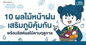 10 ผลไม้หน้าฝน เสริมภูมิคุ้มกัน พร้อมลิสต์ผลไม้ตามฤดูกาล