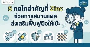 5 กลไกสำคัญที่ Zinc ช่วยการสมานแผล ส่งเสริมฟื้นฟูผิวให้เป๊ะ