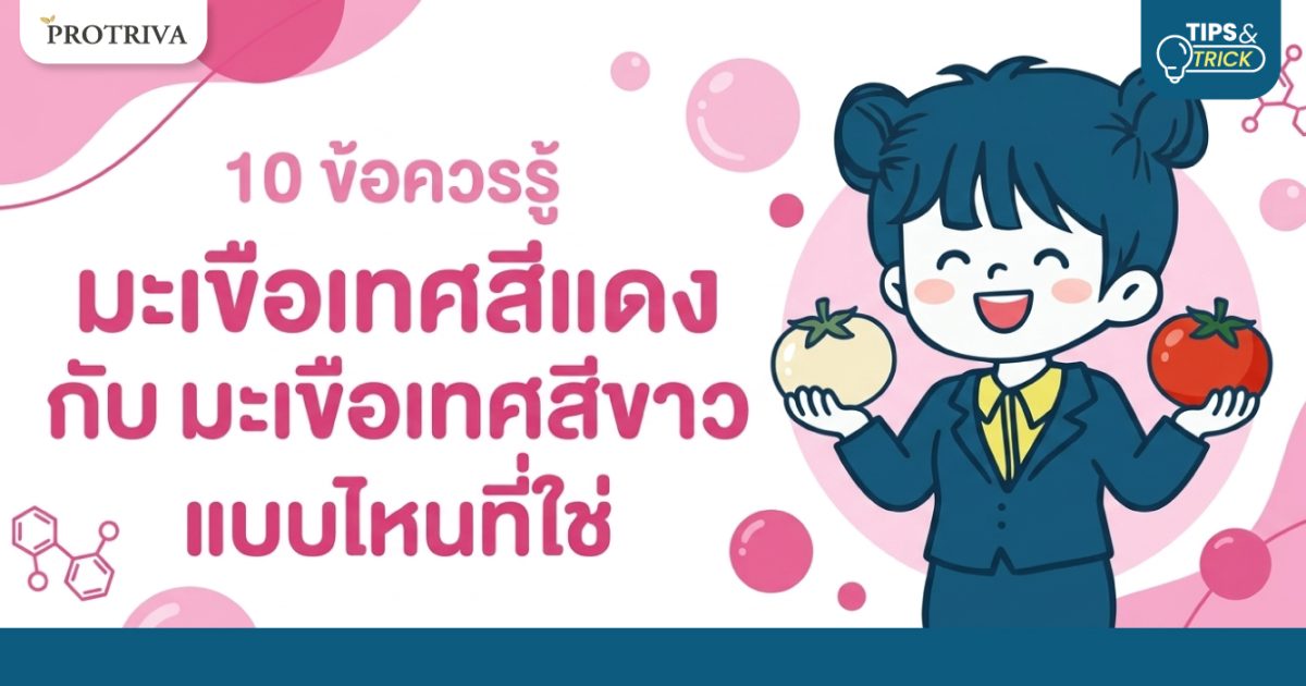 10 ข้อควรรู้ มะเขือเทศสีแดง กับ มะเขือเทศสีขาว แบบไหนที่ใช่