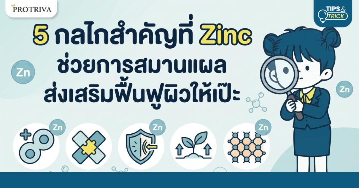 5 กลไกสำคัญที่ Zinc ช่วยการสมานแผล ส่งเสริมฟื้นฟูผิวให้เป๊ะ