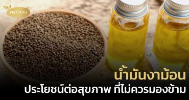 5 ประโยชน์น้ำมันงาม้อน (Perilla Seed Oil) ที่ไม่ควรมองข้าม