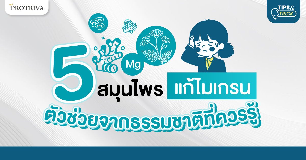 การมองหา สมุนไพรแก้ไมเกรน เป็นทางเลือกเสริมที่ได้รับความนิยมมากขึ้นเรื่อยๆ เพราะหลายคนต้องการแนวทางดูแลตัวเองแบบองค์รวมควบคู่ไป