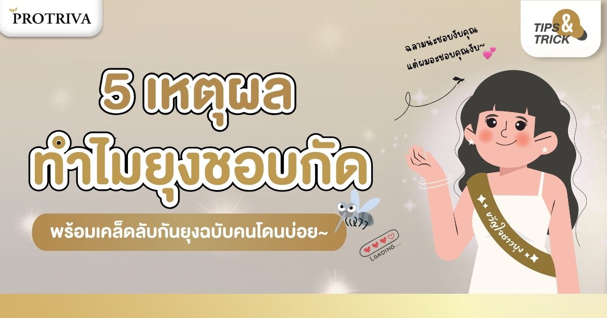 5 เหตุผล ทำไมยุงชอบกัด พร้อมเคล็ดลับกันยุงฉบับคนโดนบ่อย 5 เหตุผล ทำไมยุงชอบกัด พร้อมเคล็ดลับกันยุงฉบับคนโดนบ่อย