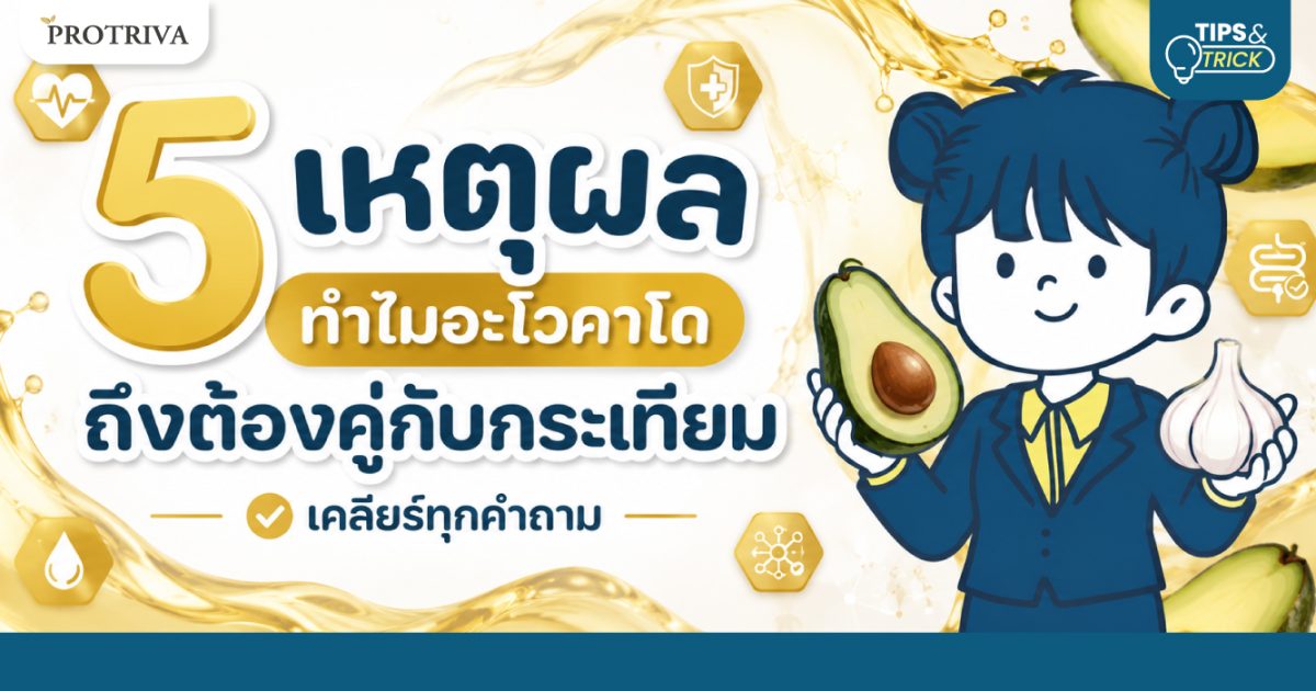 5-เหตุผล-ทำไมอะโวคาโดถึงต้องคู่กับกระเทียม-เคลียร์ทุกคำถาม.jpg 5 เหตุผล ทำไมอะโวคาโดถึงต้องคู่กับกระเทียม เคลียร์ทุกคำถาม