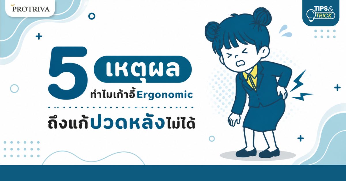 5-เหตุผล-ทำไมเก้าอี้-Ergonomic-ถึงแก้ปวดหลังไม่ได้.jpg 5 เหตุผล ทำไมเก้าอี้ Ergonomic ถึงแก้ปวดหลังไม่ได้