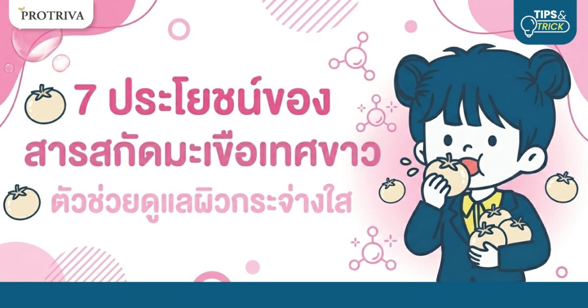7 ประโยชน์ของ สารสกัดมะเขือเทศขาว ตัวช่วยดูแลผิวกระจ่างใส