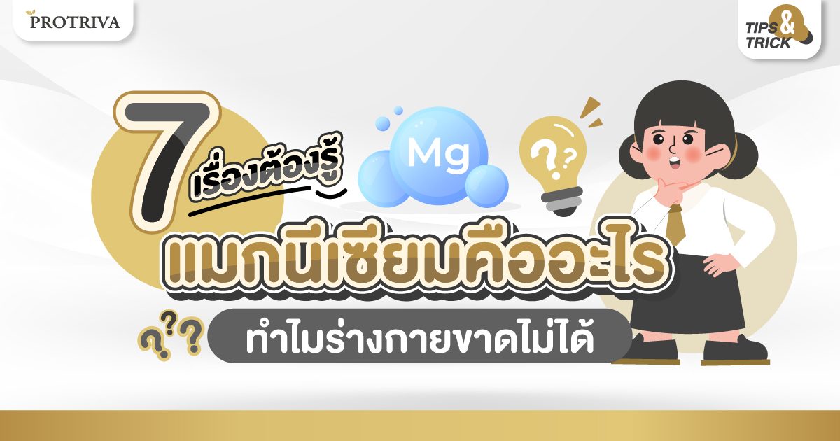 7 เรื่องต้องรู้ แมกนีเซียม คืออะไร ทำไมร่างกายขาดไม่ได้ 7 เรื่องต้องรู้ แมกนีเซียม คืออะไร ทำไมร่างกายขาดไม่ได้