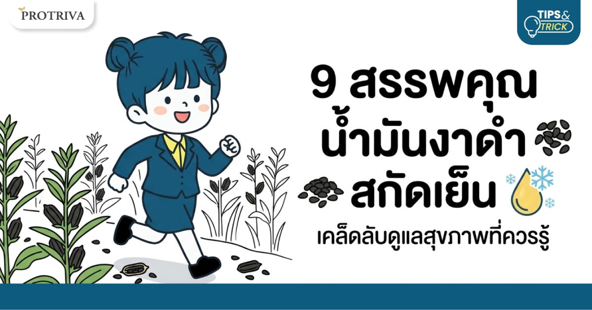 9-สรรพคุณ-น้ำมันงาดำ-สกัดเย็น-เคล็ดลับดูแลสุขภาพที่ทุกคนควรรู้.jpg 9 สรรพคุณ น้ำมันงาดำ สกัดเย็น เคล็ดลับดูแลสุขภาพที่ทุกคนควรรู้