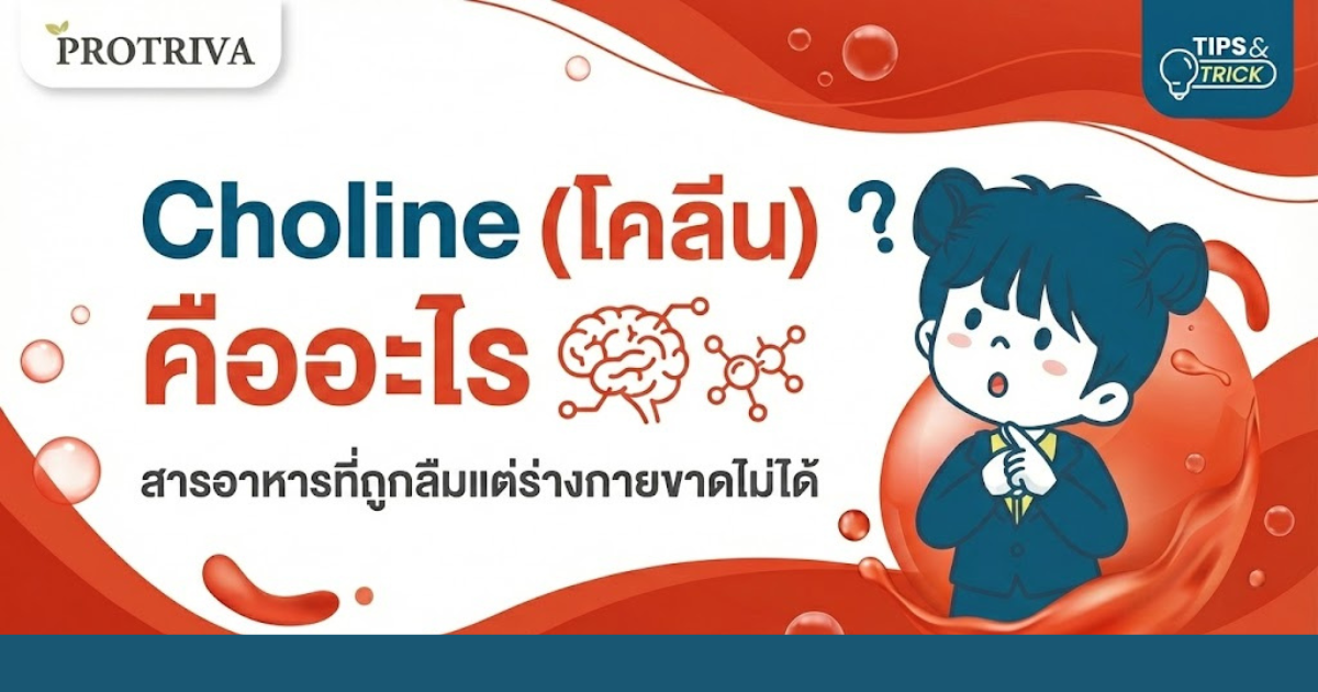 Choline (โคลีน) คืออะไร สารอาหารที่ถูกลืมแต่ร่างกายขาดไม่ได้