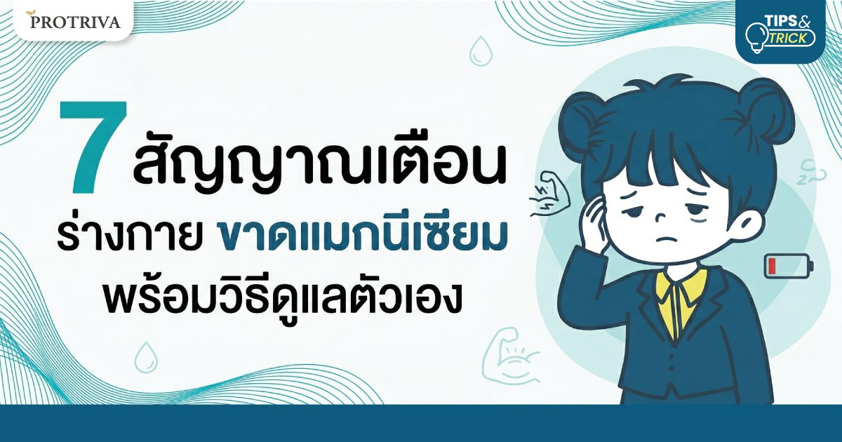 Cover-7-สัญญาณเตือน-ร่างกาย-ขาดแมกนีเซียม.jpg 7 สัญญาณเตือน ร่างกาย ขาด แมกนีเซียม พร้อมวิธีดูแลตัวเอง