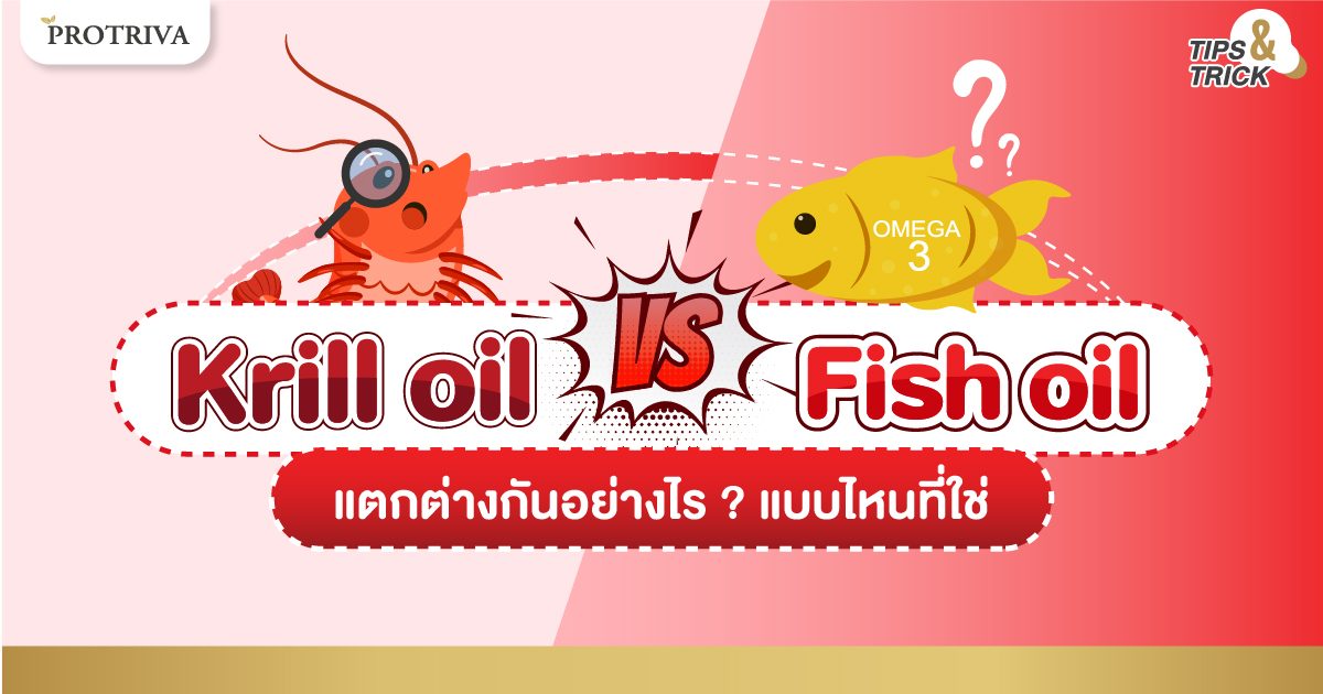 krill oil vs fish oil ต่างกันอย่างไร แบบไหนที่ใช่ krill oil vs fish oil ต่างกันอย่างไร แบบไหนที่ใช่