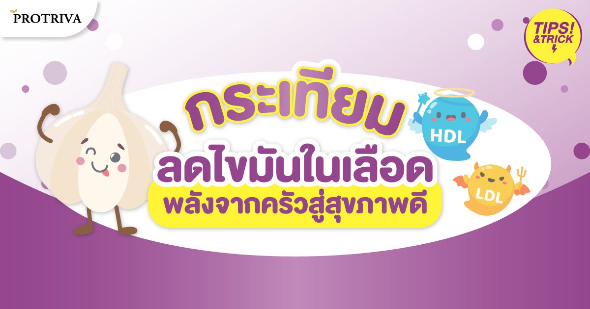 กระเทียม ลดไขมันในเลือด กระเทียม ลดไขมันในเลือด
