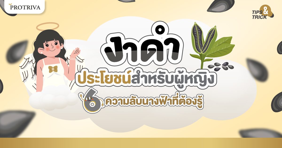 งาดำ ประโยชน์สำหรับผู้หญิง 6 ความลับนางฟ้าที่ต้องรู้ งาดำ ประโยชน์สำหรับผู้หญิง 6 ความลับนางฟ้าที่ต้องรู้