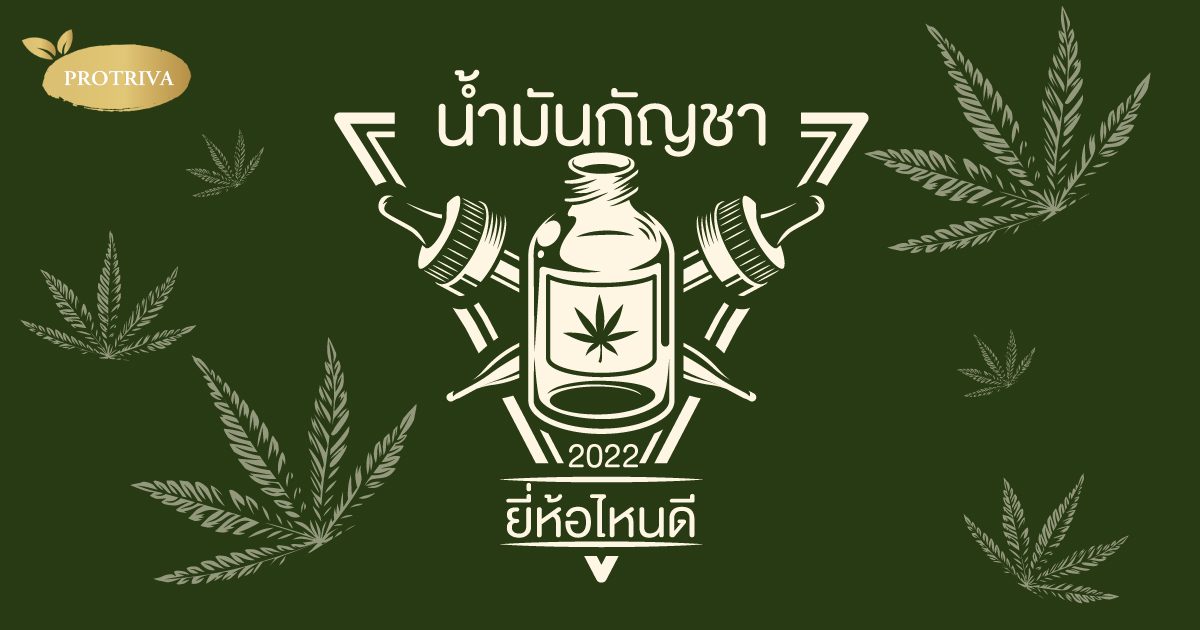 น้ำมันกัญชา ยี่ห้อไหนดี ปี 2022 ระวังเลือกผิดอาจอันตรายได้