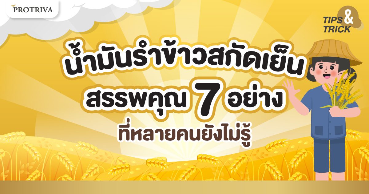 น้ำมันรำข้าวสกัดเย็น สรรพคุณ 7 อย่าง ที่หลายคนยังไม่รู้