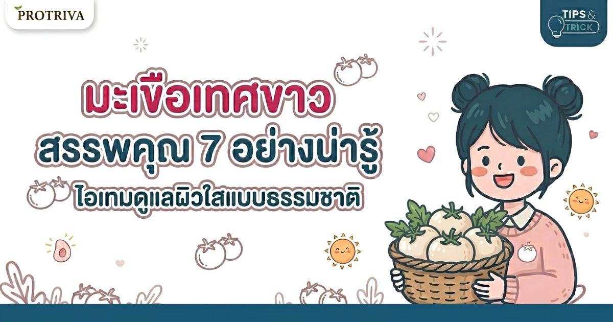 มะเขือเทศขาว สรรพคุณ 7 อย่างน่ารู้ ไอเทมดูแลผิวใสแบบธรรมชาติ