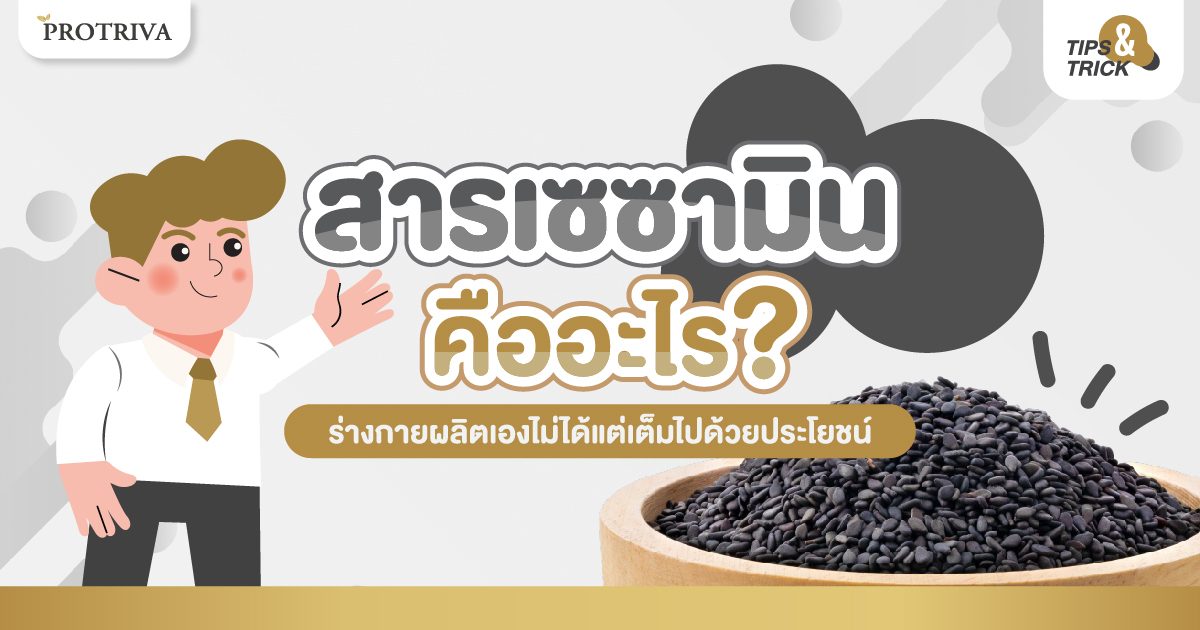 สารเซซามิน คืออะไร ร่างกายผลิตเองไม่ได้แต่เต็มไปด้วยประโยชน์ สารเซซามิน คืออะไร ร่างกายผลิตเองไม่ได้แต่เต็มไปด้วยประโยชน์
