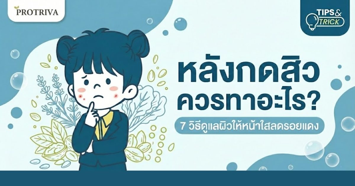 หลังกดสิว ควรทาอะไร ? 7 วิธีดูแลผิวให้หน้าใส ลดรอยแดง แผลหายไวไว หลังกดสิว ควรทาอะไร ? 7 วิธีดูแลผิวให้หน้าใส ลดรอยแดง แผลหายไวไว