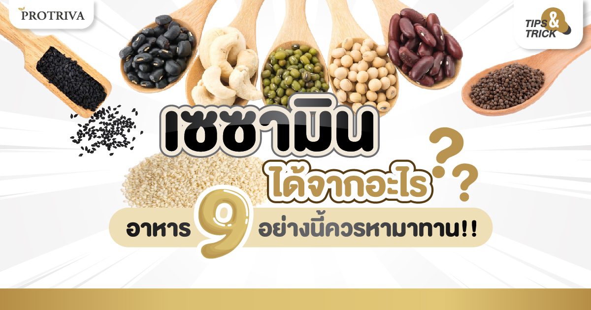 เซซามิน อยู่ในอาหารอะไรบ้าง 9 อย่างนี้ควรหามาทาน!! เซซามิน อยู่ในอาหารอะไรบ้าง 9 อย่างนี้ควรหามาทาน!!