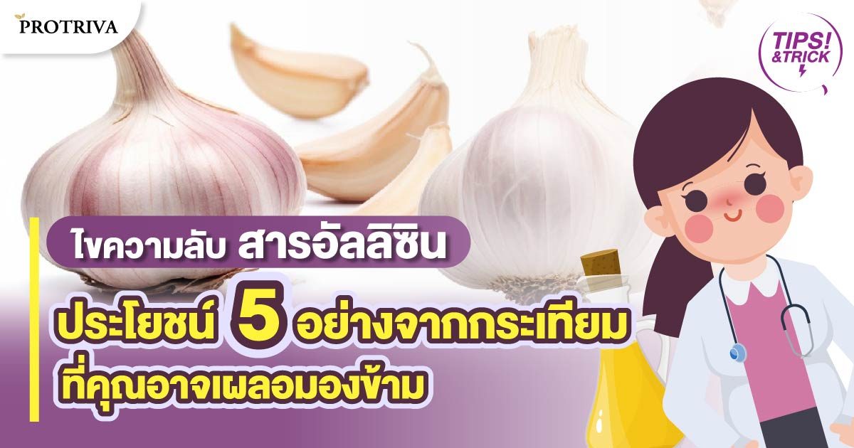 ไขความลับ สารอัลลิซิน ประโยชน์ 5 อย่างจากกระเทียม ไขความลับ สารอัลลิซิน ประโยชน์ 5 อย่างจากกระเทียม