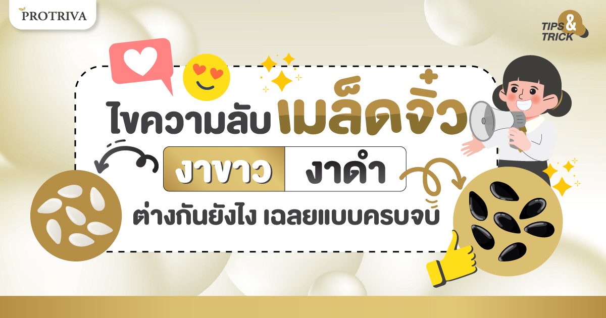 ไขความลับเมล็ดจิ๋ว งาขาว งาดำ ต่างกันยังไง เฉลยแบบครบจบ ไขความลับเมล็ดจิ๋ว งาขาว งาดำ ต่างกันยังไง เฉลยแบบครบจบ